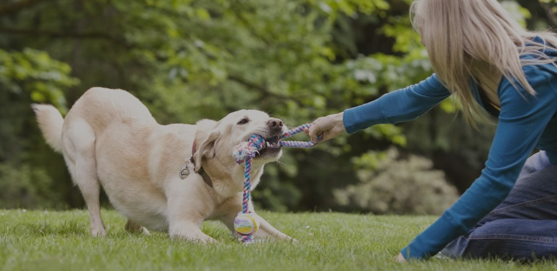 Shaoxing Bedste Pet Supplies Co., Ltd.